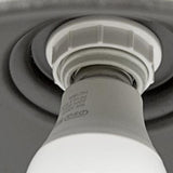 Alessio Rustykalna misa w kształcie antycznego mosiądzu Wodoodporna lampa ścienna IP65 do zastosowań zewnętrznych