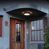 Outdoor Wall Lamp/ Flush Mount Ceiling Light