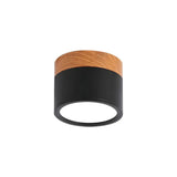 Nordic Cylinder Led-Taklampor För Korridorer