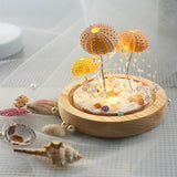 Lampka nocna jeżowiec DIY