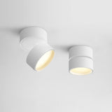 Lampa sufitowa powierzchniowa Favilla