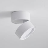 Lampa sufitowa powierzchniowa Favilla