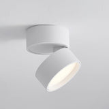 Lampa sufitowa powierzchniowa Favilla