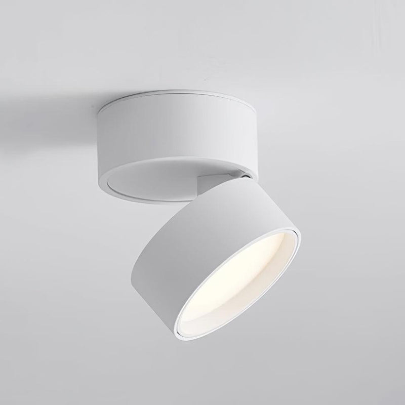 Lampa sufitowa powierzchniowa Favilla