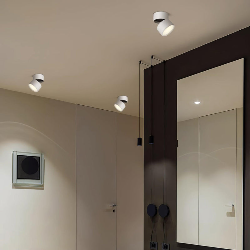 Lampa sufitowa powierzchniowa Favilla