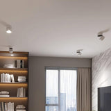 Lampa sufitowa powierzchniowa Favilla