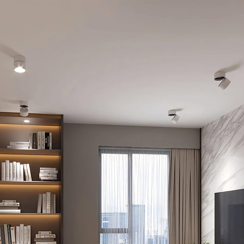 Lampa sufitowa powierzchniowa Favilla