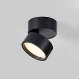 Lampa sufitowa powierzchniowa Favilla