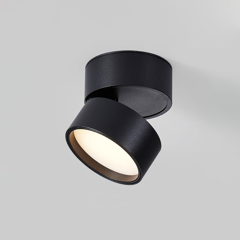 Lampa sufitowa powierzchniowa Favilla