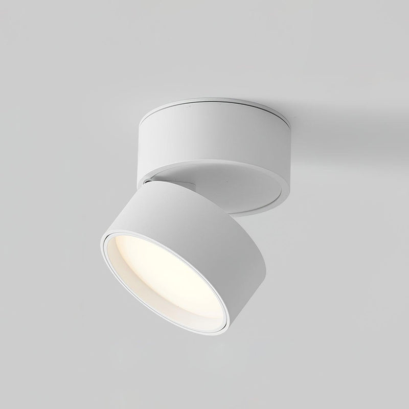 Lampa sufitowa powierzchniowa Favilla