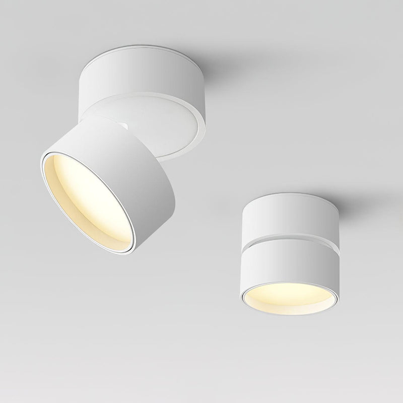 Lampa sufitowa powierzchniowa Favilla