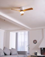 Dřevěný stropní ventilátor